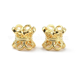 6-Petal Brass Double Sided Bead Caps&nbsp;KK-P232-09G