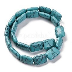 Synthetic Turquoise Beads Strands&nbsp;G-T047-B12-01
