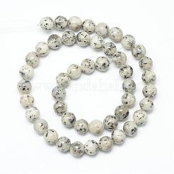 Natural Sesame Jasper/Kiwi Jasper Bead Strands&nbsp;G-R345-8mm-27