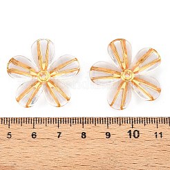 Transparent Acrylic Beads&nbsp;TACR-T028-18A