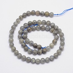 Natural Labradorite Round Bead Strands&nbsp;G-I156-01-6mm