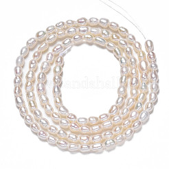 Natural Cultured Freshwater Pearl Beads Strands&nbsp;PEAR-N012-02G