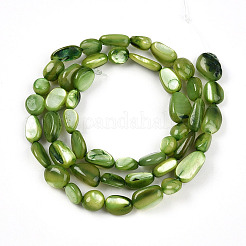 Natural White Shell Beads Strands&nbsp;SHEL-N036-21D