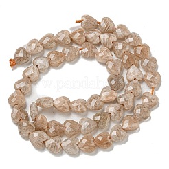 Natural Peach Moonstone Beads Strands&nbsp;G-P544-E05-01