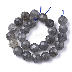 Natural Labradorite Beads Strands&nbsp;X-G-S345-8mm-005