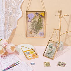 5Pcs Glass Hanging Photo Frame for Plant Specimen&nbsp;AJEW-OC0015-72