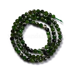 Natural Diopside Beads Strands&nbsp;X-G-G188-B14-02
