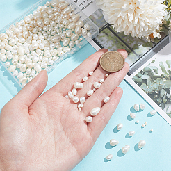 6 Strands 6 Styles Natural Cultured Freshwater Pearl Beads Strands&nbsp;PEAR-NB0002-36