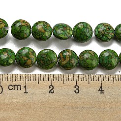 Dyed Synthetic Turquoise Beads Strands&nbsp;G-B070-E01-01