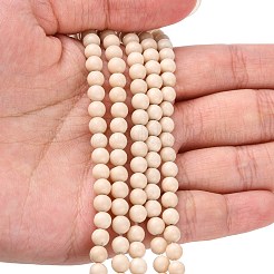 Natural Fossil Beads Strands&nbsp;G-E110-4mm-2