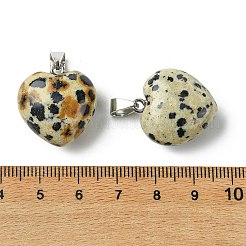 Natural Dalmatian Jasper Pendants&nbsp;G-F820-10A-03