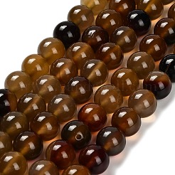 Dyed Natural Agate Beads Strands&nbsp;G-G203-10D-10mm