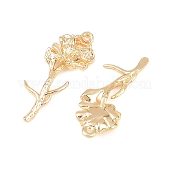 Brass Pendants&nbsp;KK-A288-01G-09
