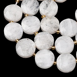 Natural Rainbow Moonstone Beads Strands&nbsp;G-L654-N05-01