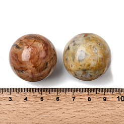 Natural Crazy Agate No Hole Sphere Beads&nbsp;G-I367-05-10