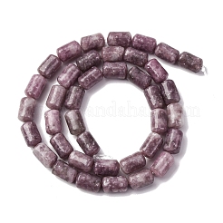 Natural Lepidolite Beads Strands&nbsp;G-F808-B01-01