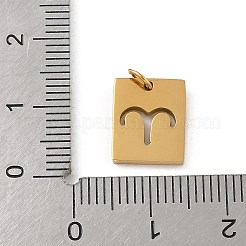 304 Stainless Steel Charms&nbsp;LS-STAS-R001-03G-01