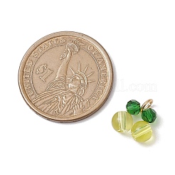 Glass Charms&nbsp;PALLOY-JF02935