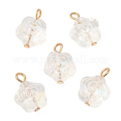 Glass Pendants&nbsp;KK-Q777-14LG