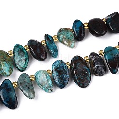 Natural Chrysocolla Beads Strands&nbsp;G-Z091-A46
