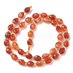 Natural Banded Agate Beads Strands&nbsp;G-F809-A37-01