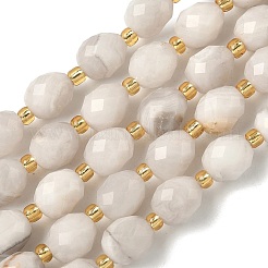 Natural White Crazy Agate Beads Strands&nbsp;G-F809-A54-01
