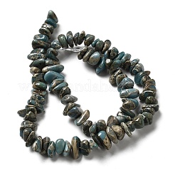 Natural Serpentine Beads Strands&nbsp;G-F771-C01-02