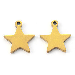 PVD Vacuum Plating 304 Stainless Steel Charms&nbsp;STAS-N092-50G