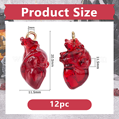 12Pcs Transparent Resin Pendants&nbsp;RESI-DC0001-49