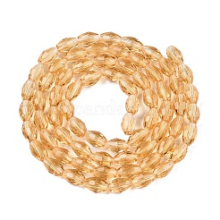 Transparent Glass Beads Strands&nbsp;EGLA-A037-T6x8mm-D05