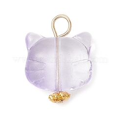 Transparent Glass Pendants&nbsp;PALLOY-JF03960