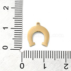 304 Stainless Steel Charms&nbsp;STAS-K263-05G-01