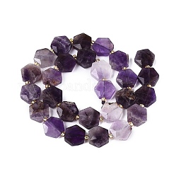 Natural Amethyst Beads Strands&nbsp;G-N368-01A-10