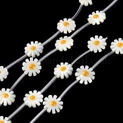 Natural Trochus Shell Beads Strands&nbsp;BSHE-E030-06A