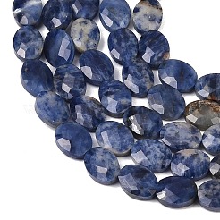 Natural Sodalite Beads Strands&nbsp;G-H349-A01-13