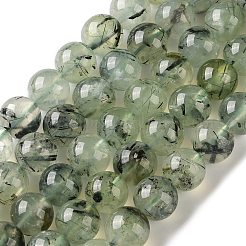 Natural Prehnite Beads Strands&nbsp;G-G474-A01-10mm