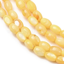 Dyed Natural Freshwater Shell Beads Strands&nbsp;SH-CBA2978-06B