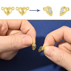 10 Bags Alloy Magnetic Clasps with Loops&nbsp;FIND-FS0004-88P