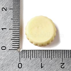 Cute Imitation Food Opaque Resin Cabochons&nbsp;RESI-L046-C04