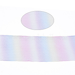 Mesh Ribbon&nbsp;PNT-S030-001C