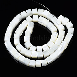 Natural Trochid Shell/Trochus Shell Beads Strands&nbsp;SSHEL-S266-008
