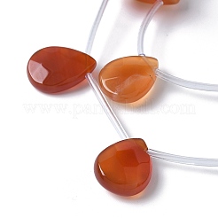 Natural Red Agate(Dyed & Heated) Beads Strands&nbsp;G-A259-A01-02
