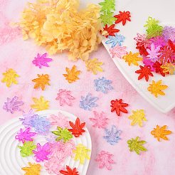 Transparent Acrylic Beads&nbsp;X-PL711Y