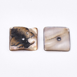 Freshwater Shell Beads&nbsp;SSHEL-T008-20A