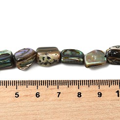 Natural Abalone Shell/Paua Shell Beads Strands&nbsp;BSHE-D300-01A
