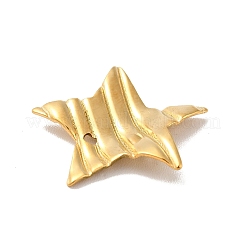 304 Stainless Steel Pendants&nbsp;LS-STAS-D187-03G