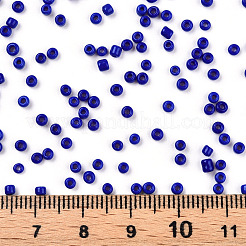 Glass Seed Beads&nbsp;SEED-A010-2mm-48