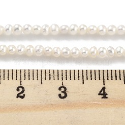 Natural Cultured Freshwater Pearl Beads Strands&nbsp;PEAR-C003-04B