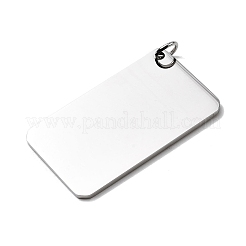 304 Stainless Steel Pendants&nbsp;STAS-B102-04P