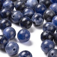 100Pcs 8mm Natural Sodalite Beads&nbsp;DIY-LS0002-32
